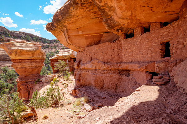 Bears Ears - Moon House

